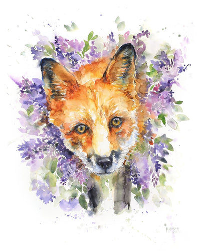 Lilac Fox