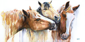 Sarah's Horses