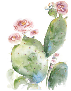 Prickly pear