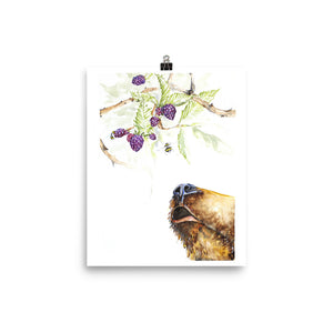 Blackberry Bear Watercolor Print - Quirk Goods