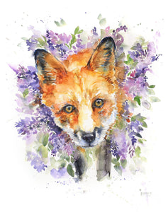 Lilac Fox