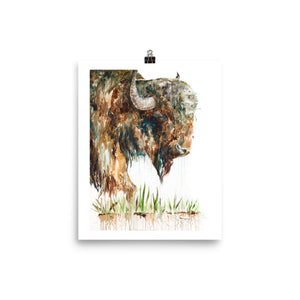 Buffalo - Ants on A Plain Watercolor Print