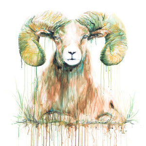 Original Big Horn