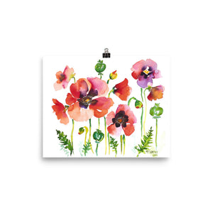 Poppy Fields Watercolor Print